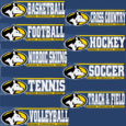 #43Tt Michigan Tech Sports Decals