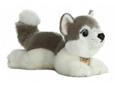 #45Q Husky Miyoni 8"