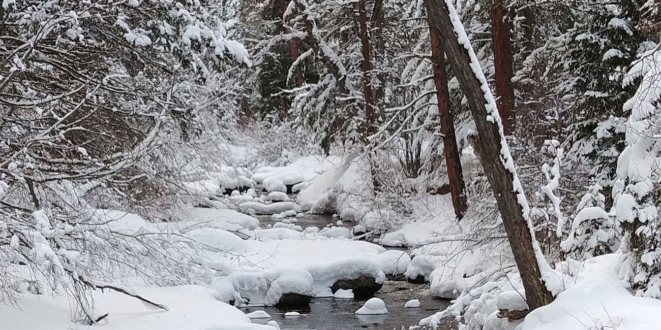 Winter Customer Appreciation Sale